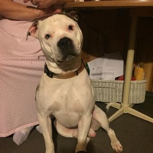 Meet your Posher, Jeanne